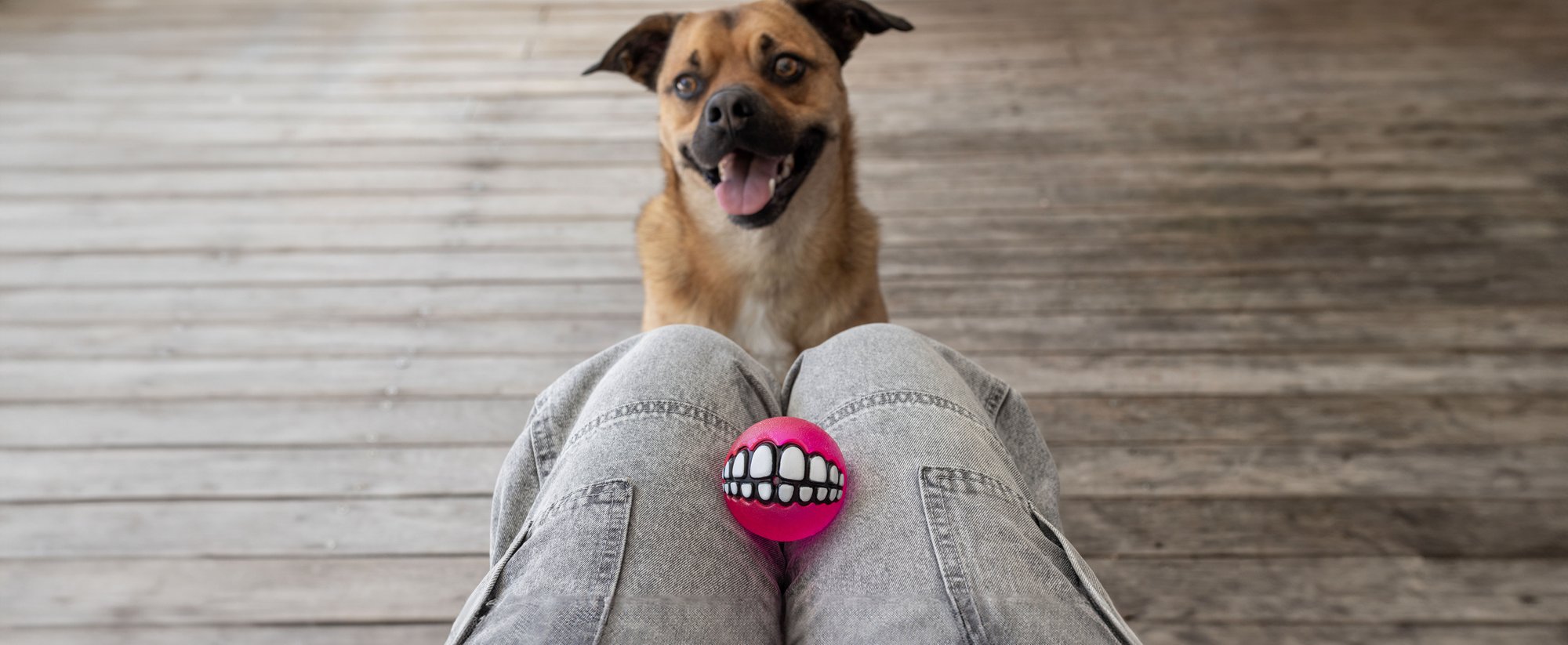 Grinz Fetch Ball_Pink_Lifestyle_4-1