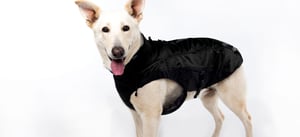 SnowSkin Insulated Jacket_Indigo Bone_Lifestyle_3-1