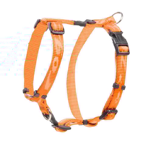 SJ23-D_Alpinist Classic Harness_M_Orange