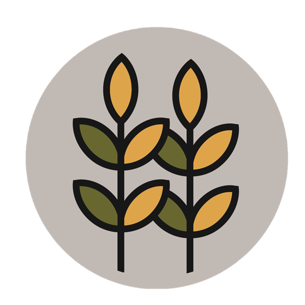 Grain Free_WhyBuys_No Grain & Hypoallegenic