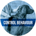 Control-Behaviour
