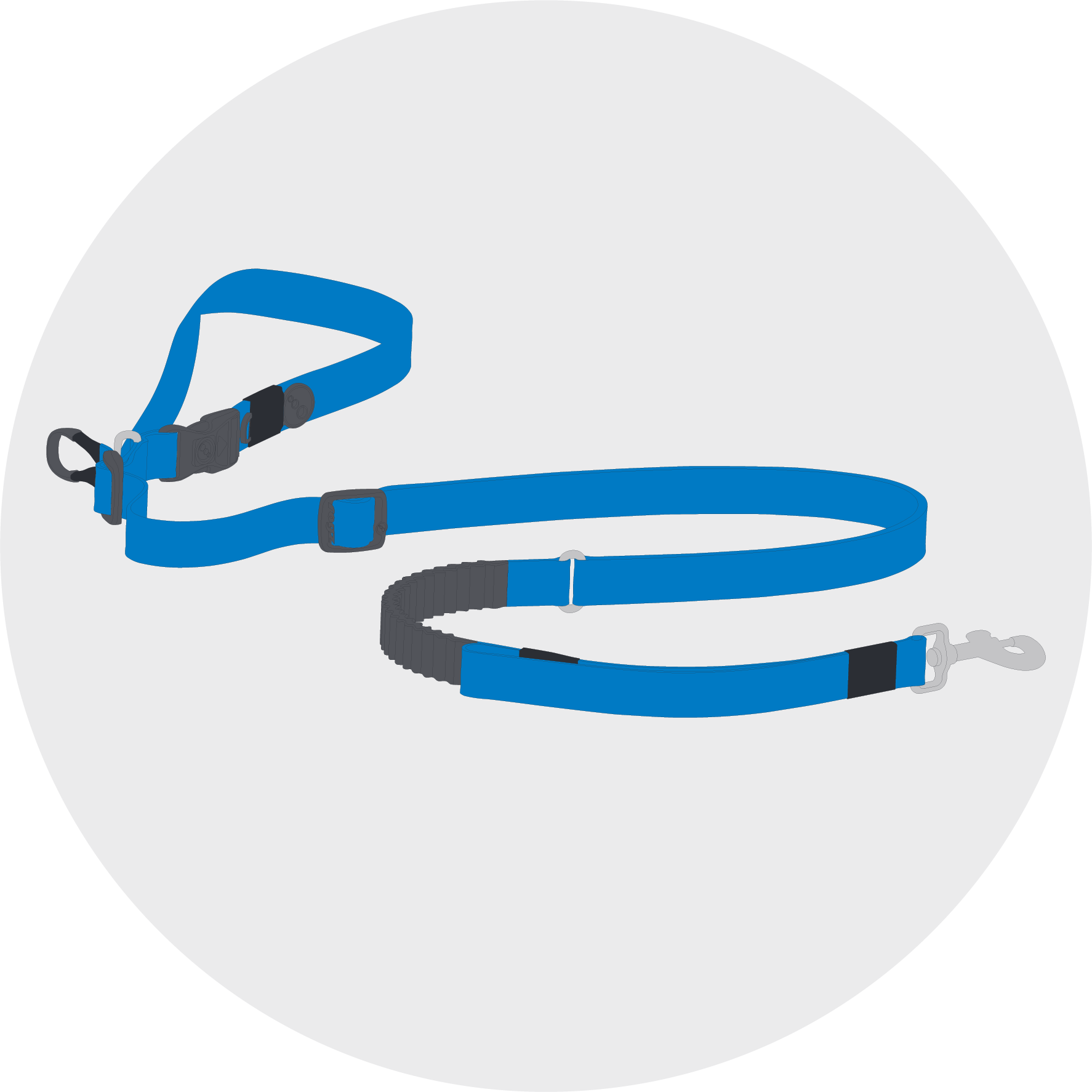 Dogs-Leads_Icon