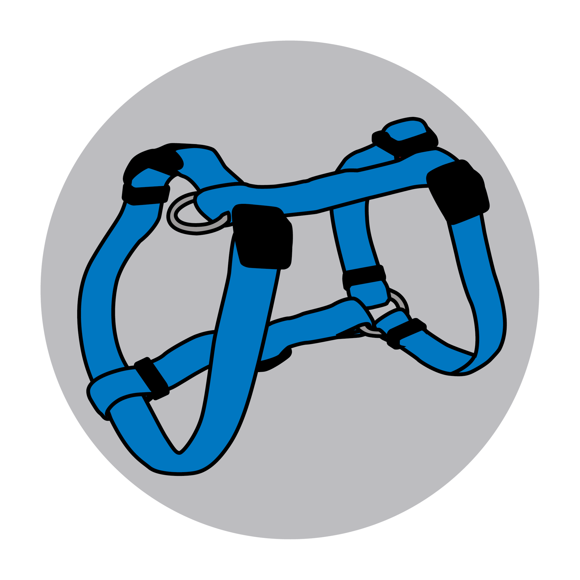 whybuy_Harness Compatible